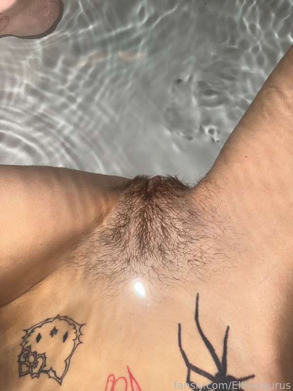 @491151459732168704